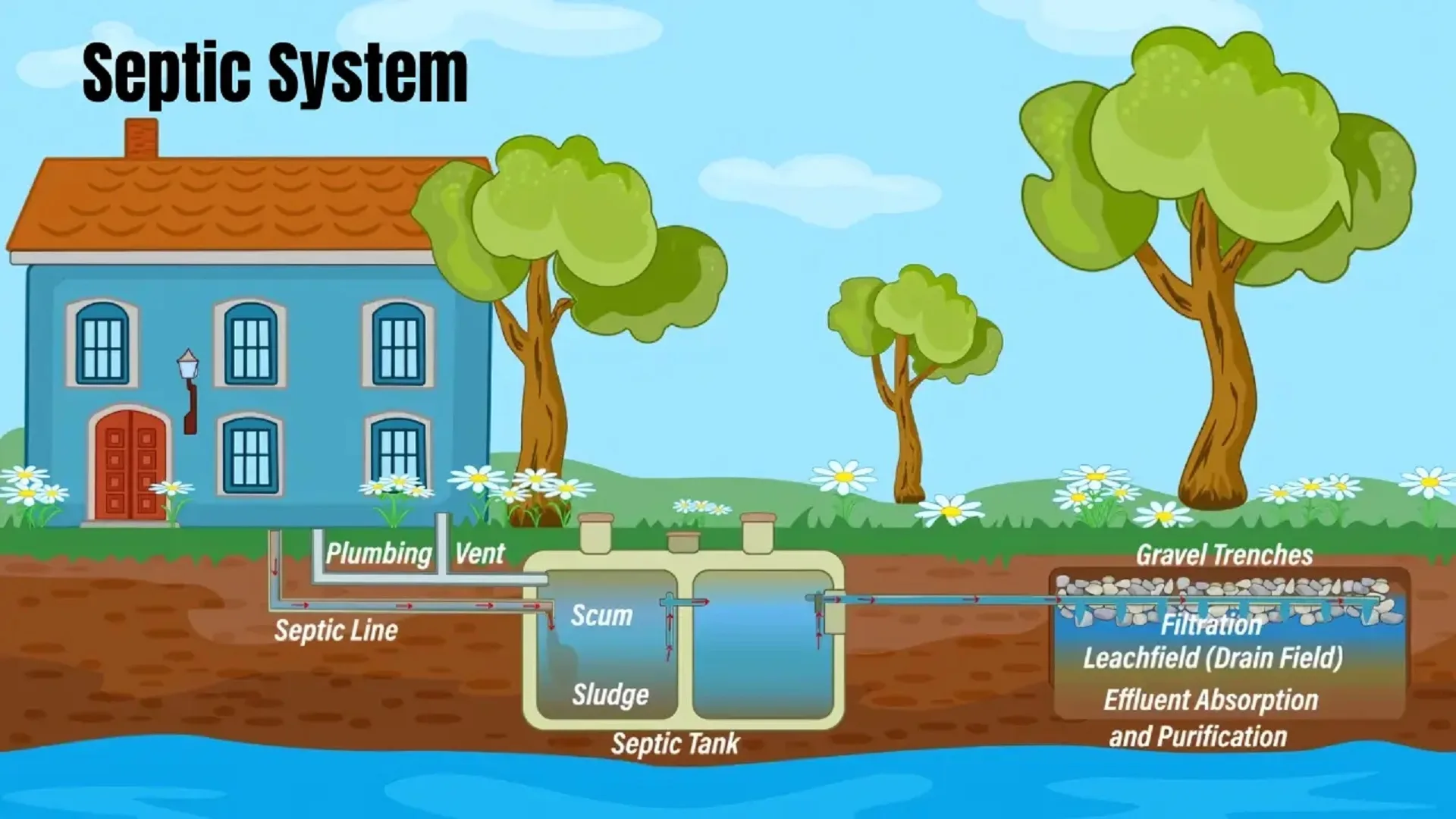 Septic system diagram