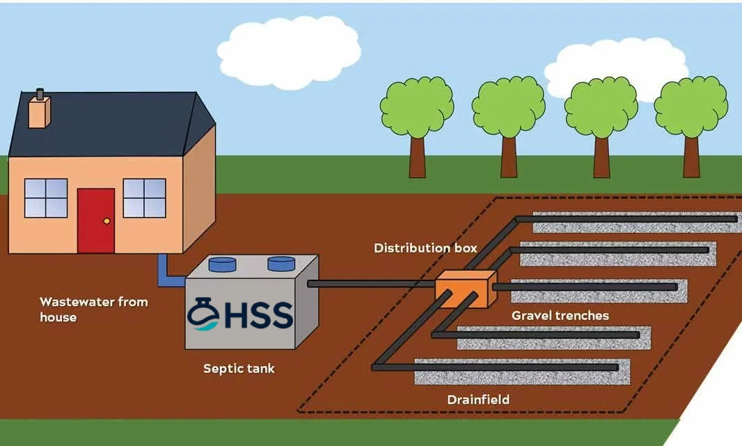 Diagram illustrating the key components of a home septic system: the septic tank, distribution box, and gravel trench drain field, showing the flow of wastewater from the house.